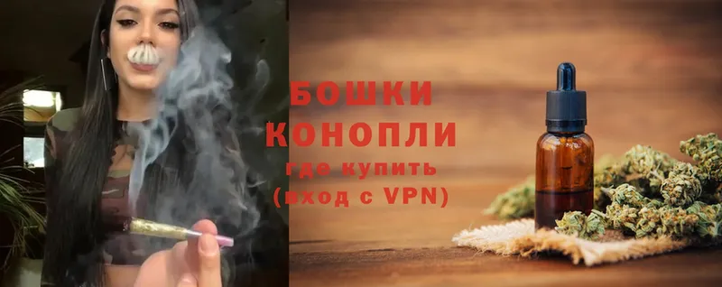 Канабис OG Kush  Великий Устюг 